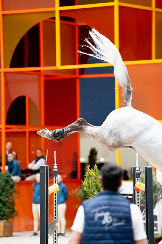 Saut Hermès au Grand Palais Éphémère 2022 Jessica Rodrigues @ Hermès 2022