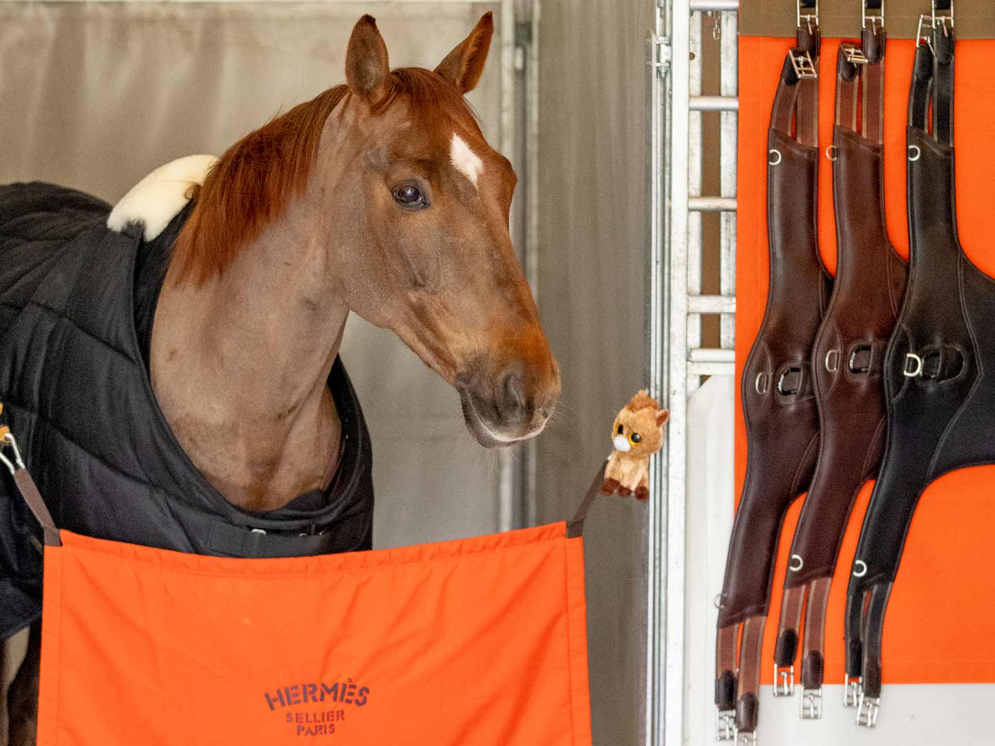 Saut Hermès au Grand Palais Éphémère 2022 Jessica Rodrigues @ Hermès 2022