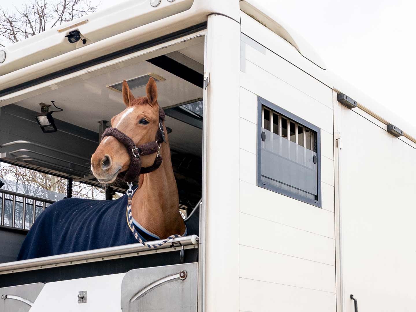 Saut Hermès au Grand Palais Éphémère 2022 Jessica Rodrigues @ Hermès 2022