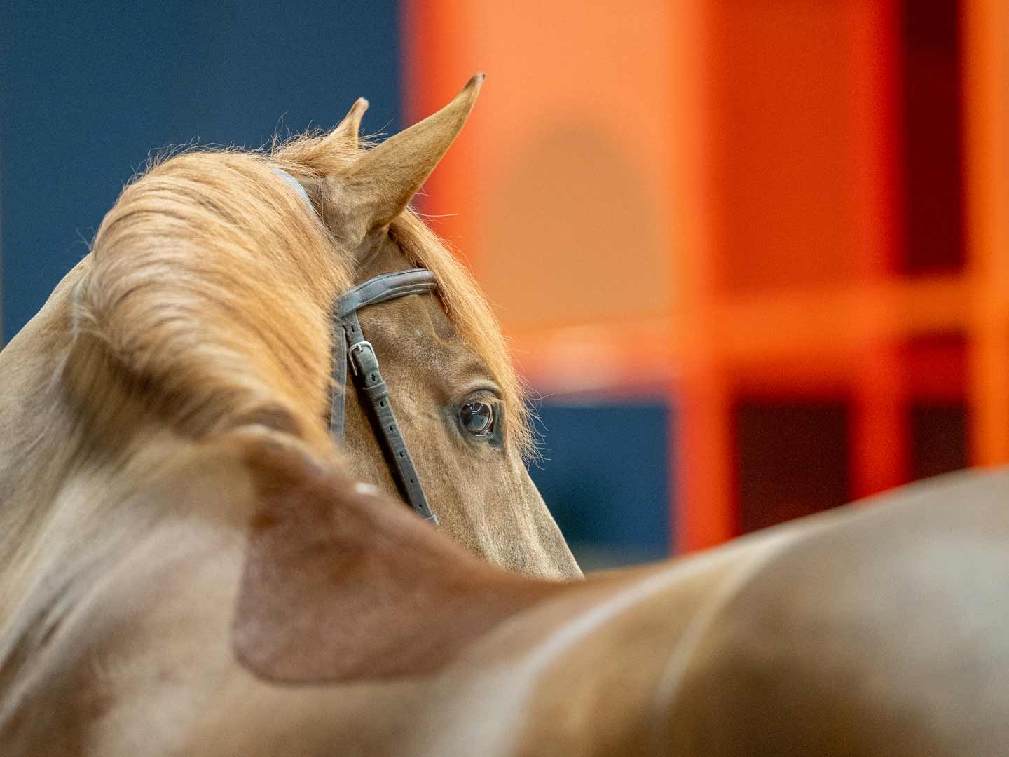 Saut Hermès au Grand Palais Éphémère 2022 Jessica Rodrigues @ Hermès 2022