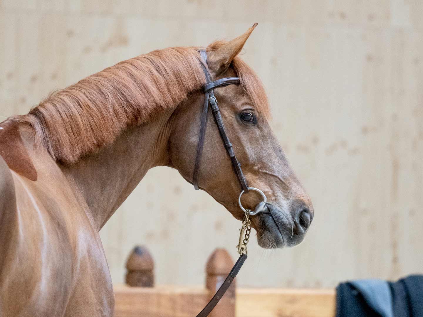 Saut Hermès au Grand Palais Éphémère 2022 Jessica Rodrigues @ Hermès 2022