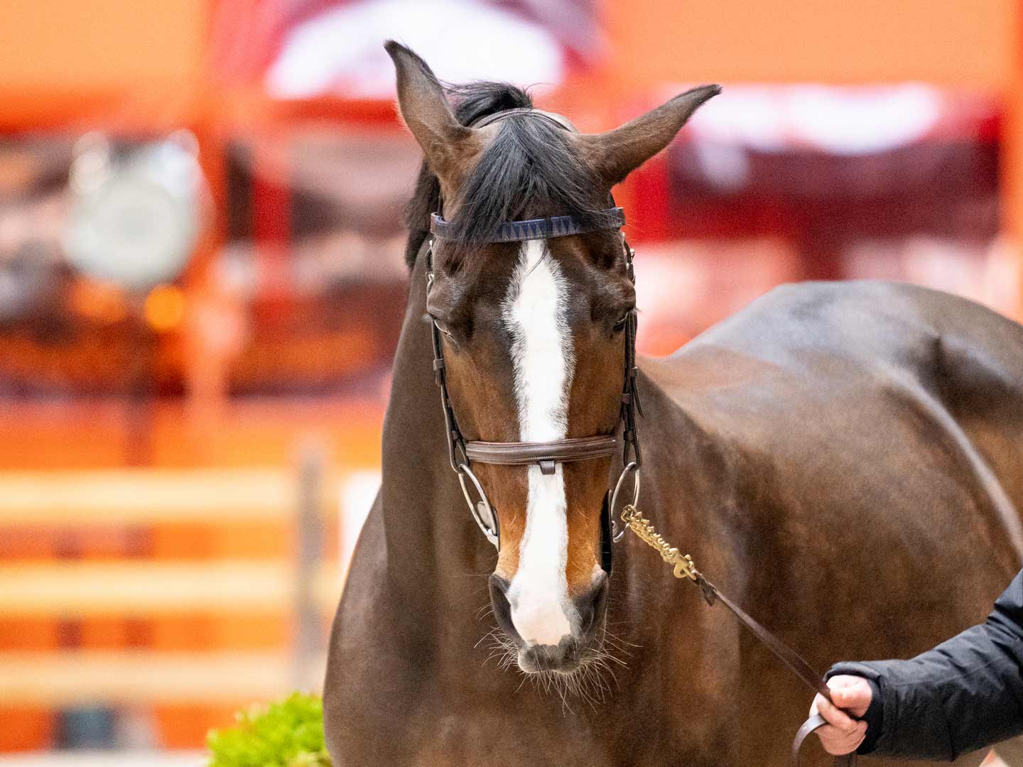 Saut Hermès au Grand Palais Éphémère 2022 Jessica Rodrigues @ Hermès 2022