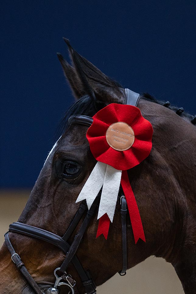 Andre Brandt - El Qlassico TT1 - LES TALENTS HERMÈS CSIU25-A Madeleine D. Bergsjø @ Hermès 2023