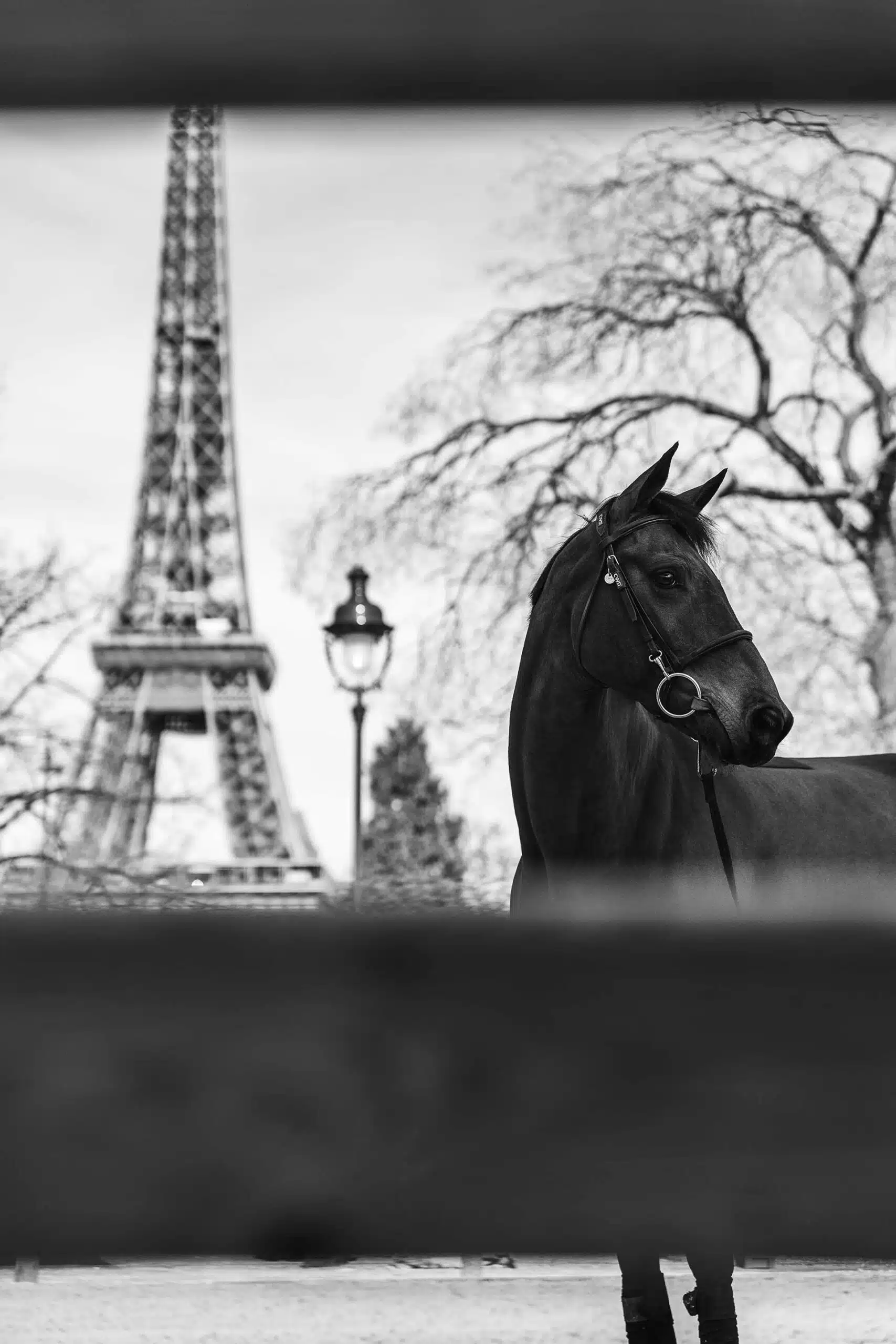 Saut Hermès au Grand Palais Éphémère 2023 Madeleine D. Bergsjø @ Hermès 2023