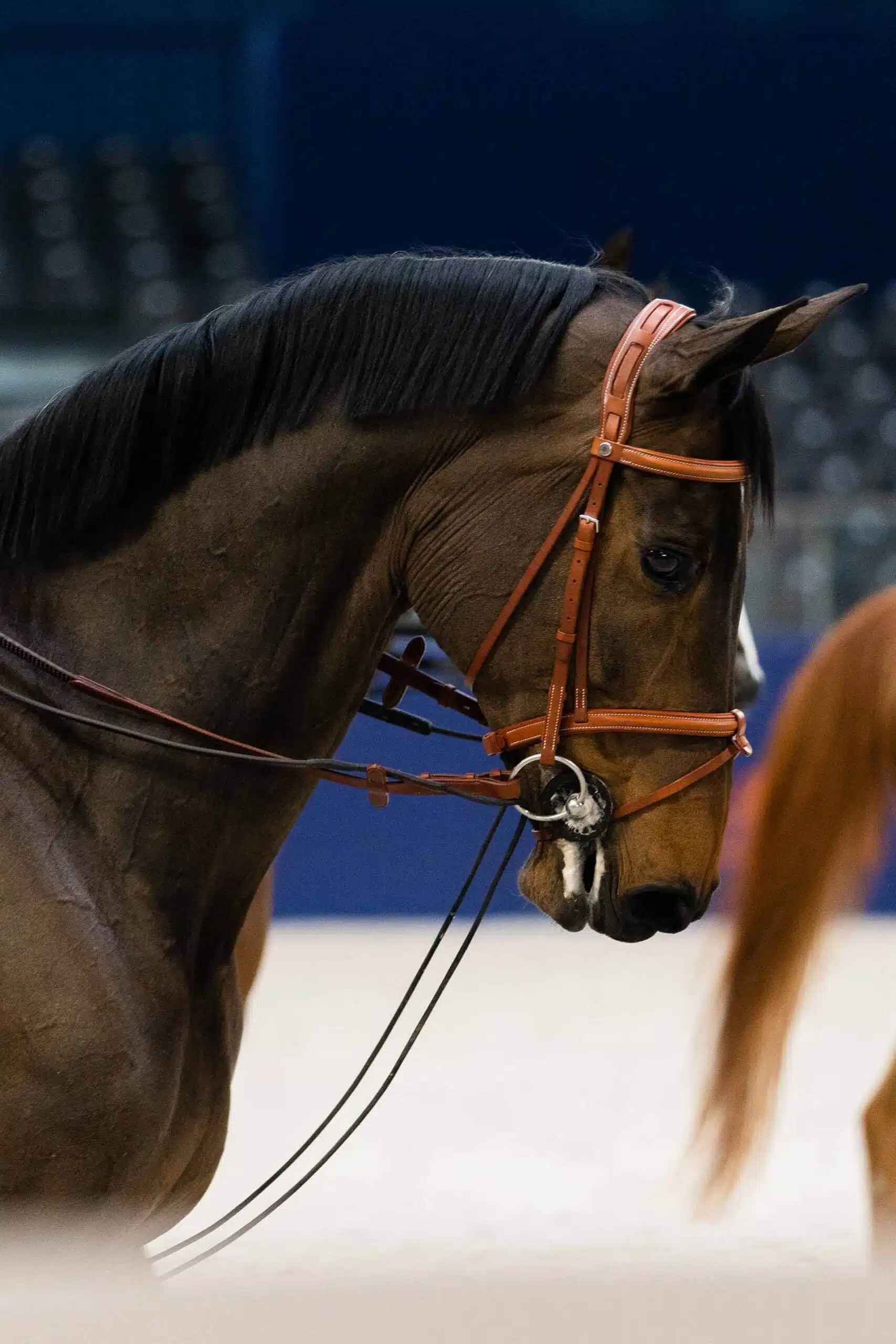 Saut Hermès au Grand Palais Éphémère 2023 Madeleine D. Bergsjø @ Hermès 2023