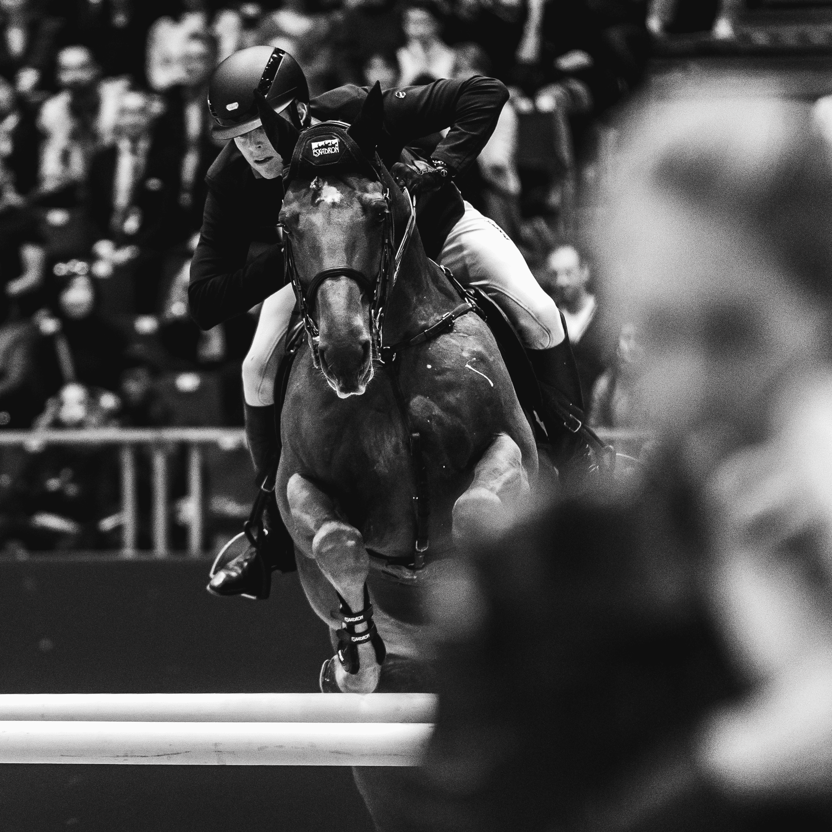 Max KÜHNER - EIC Coriolis des Isles - SAUT HERMÈS CSI 5* Madeleine D. Bergsjø @ Hermès 2023