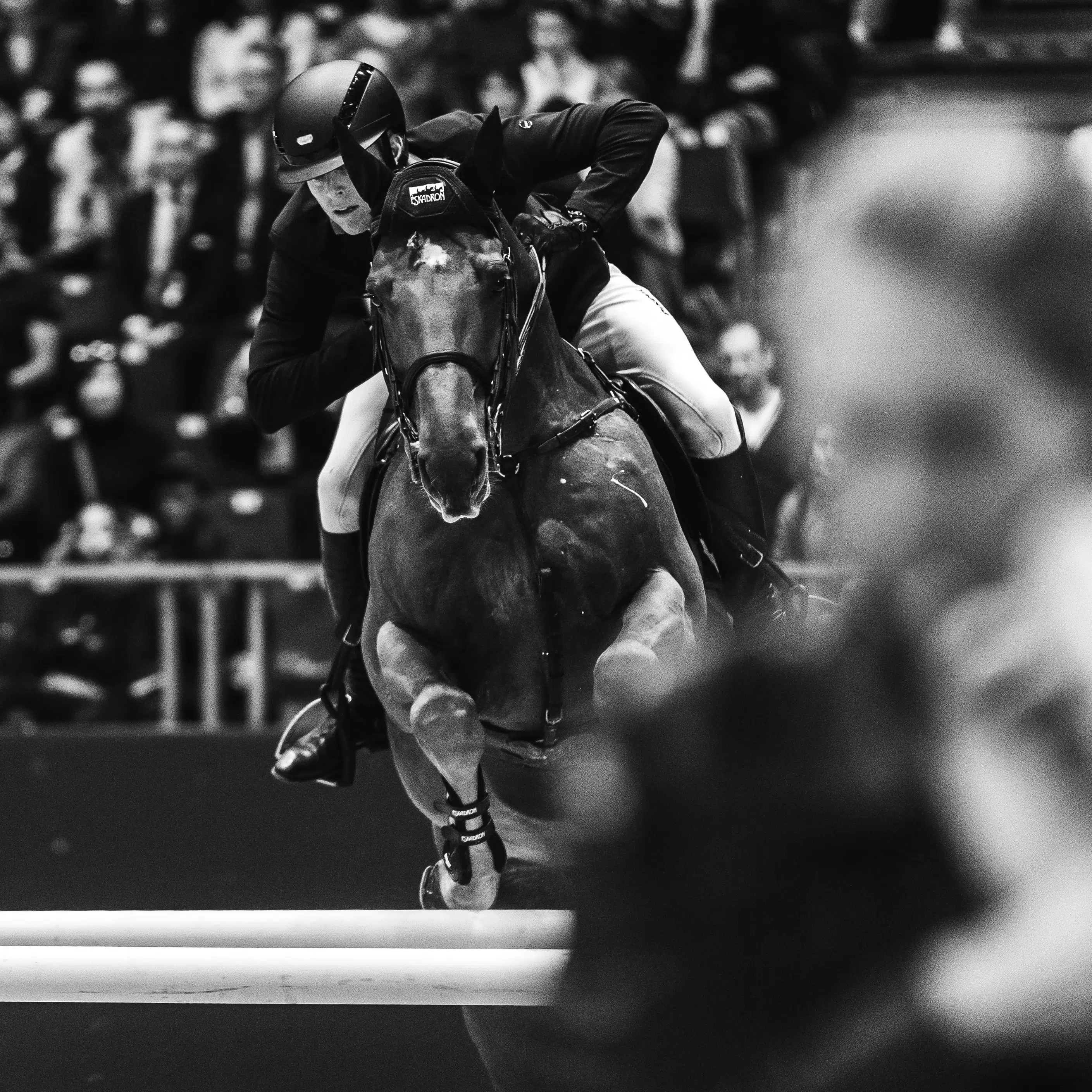 Max KÜHNER - EIC Coriolis des Isles - SAUT HERMÈS CSI 5* Madeleine D. Bergsjø @ Hermès 2023