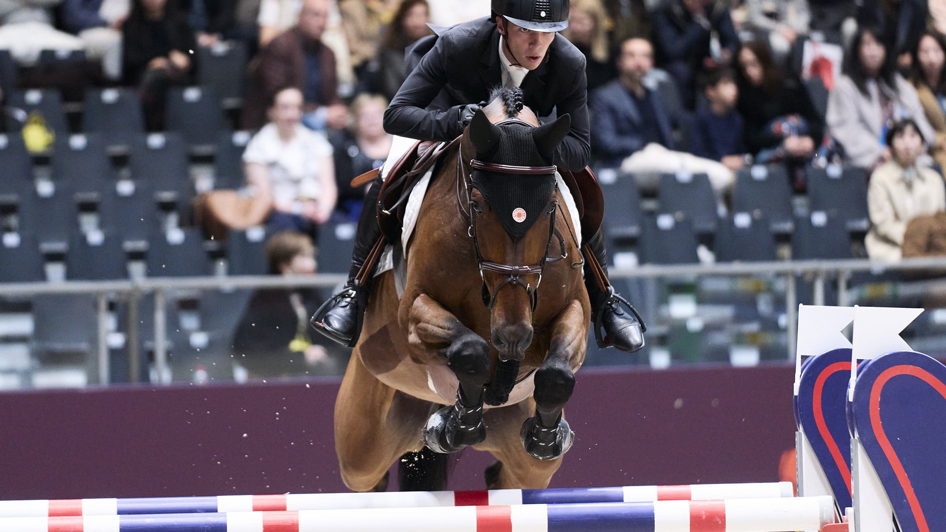 N°2 by team - Mathieu Guery - Tender Dream Hero Z - Les Talents Hermès CSIU25-A Jessica Rodrigues @ Hermès 2024