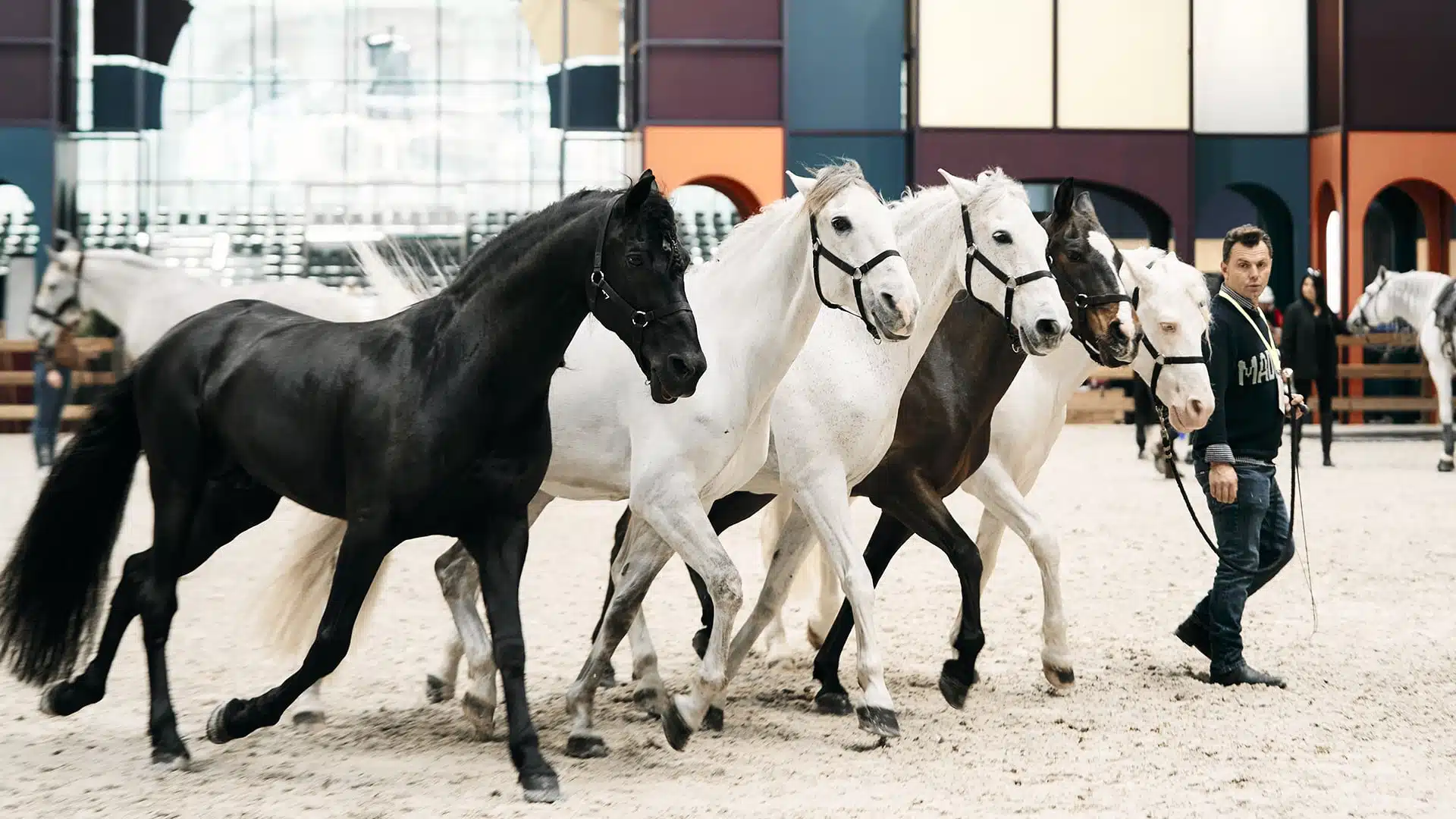 Saut Hermès au Grand Palais Éphémère 2024 Jessica Rodrigues @ Hermès 2024