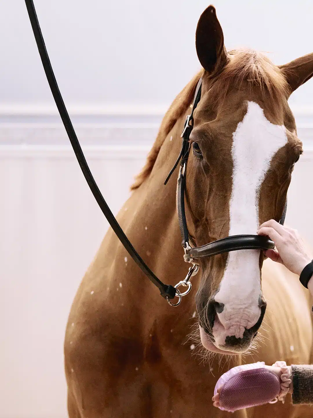 Saut Hermès au Grand Palais Éphémère 2024 Jessica Rodrigues @ Hermès 2024