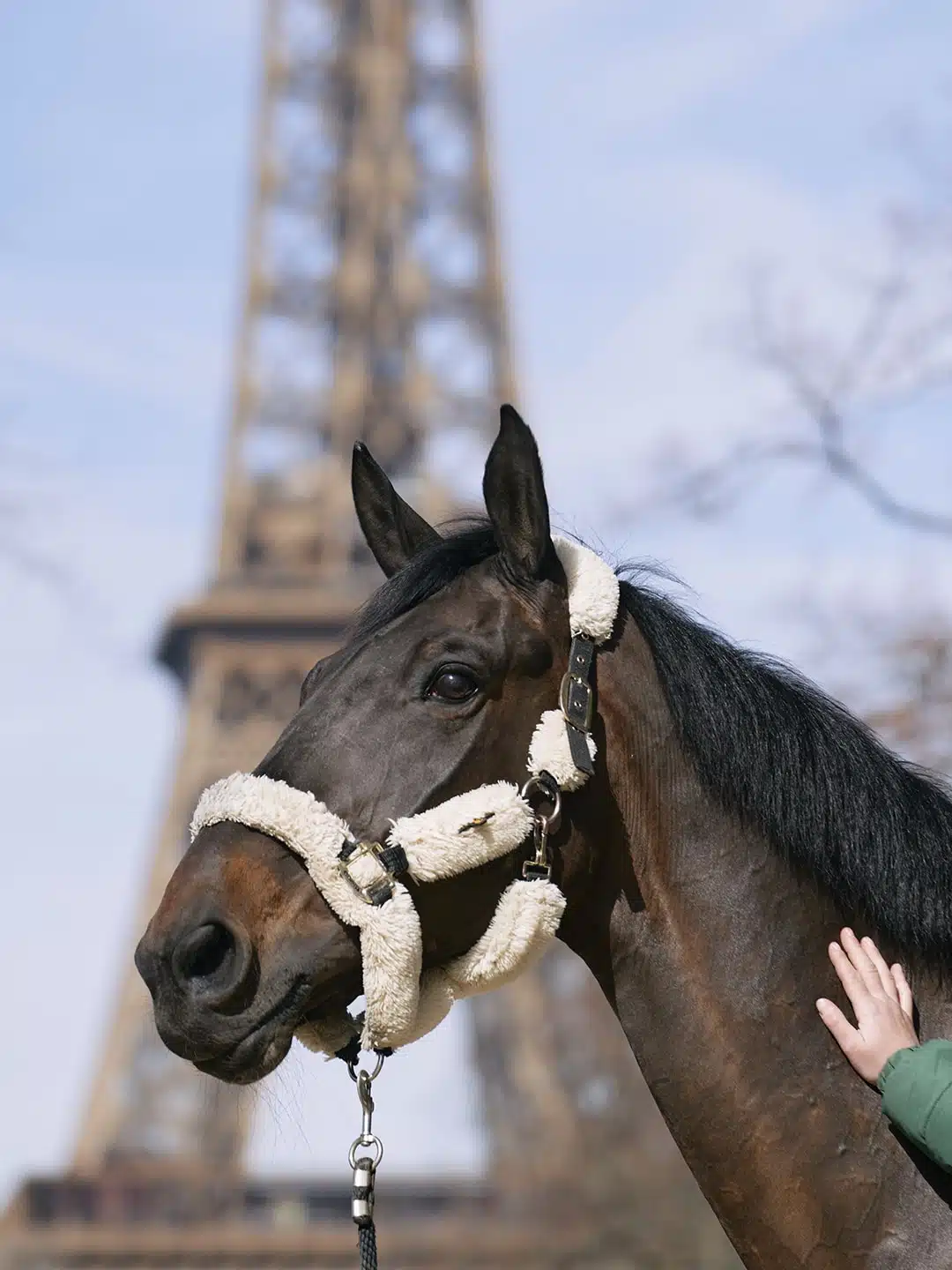 Saut Hermès au Grand Palais Éphémère 2024 Jessica Rodrigues @ Hermès 2024