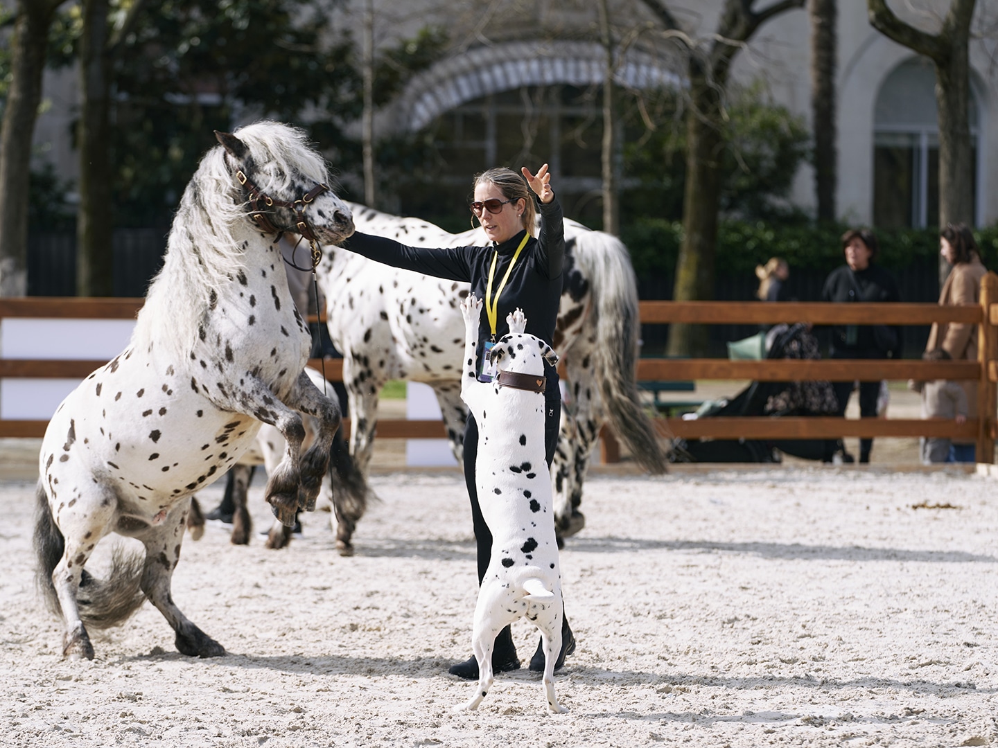 Saut Hermès at the Grand Palais Éphémère 2024 Jessica Rodrigues @ Hermès 2024