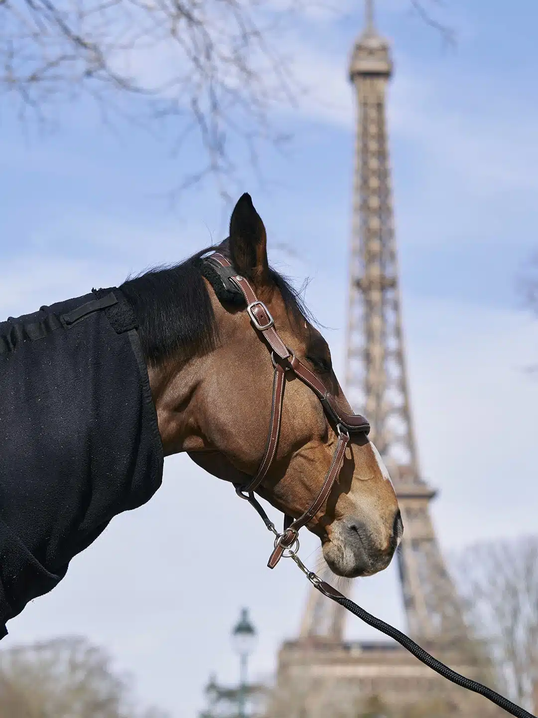 Saut Hermès au Grand Palais Éphémère 2024 Jessica Rodrigues @ Hermès 2024