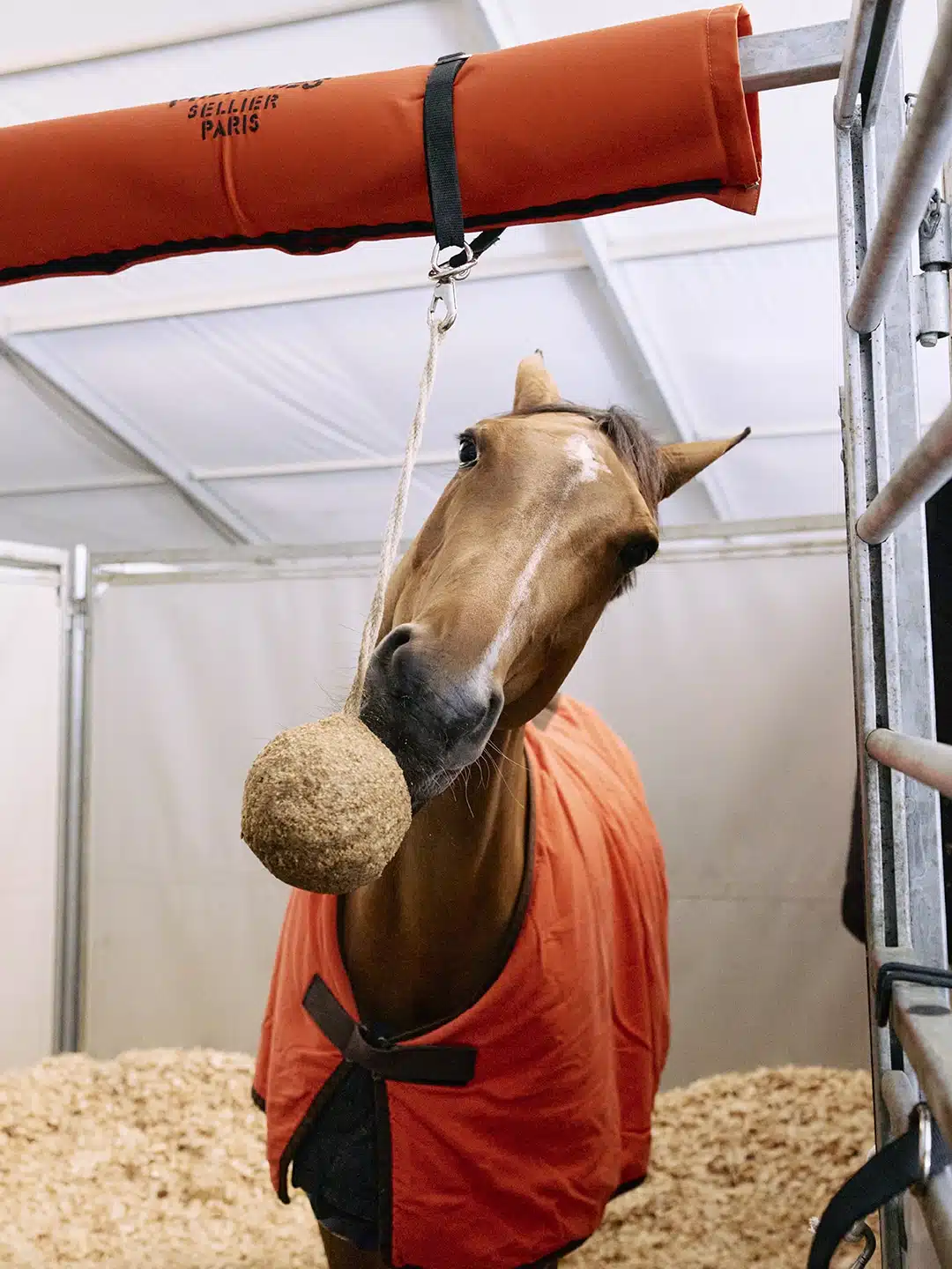 Saut Hermès au Grand Palais Éphémère 2024 Jessica Rodrigues @ Hermès 2024