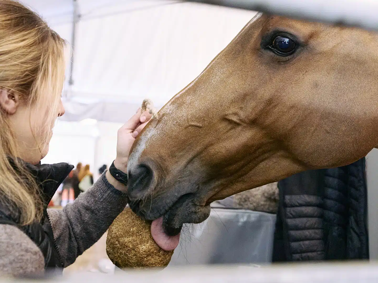 Saut Hermès au Grand Palais Éphémère 2024 Jessica Rodrigues @ Hermès 2024