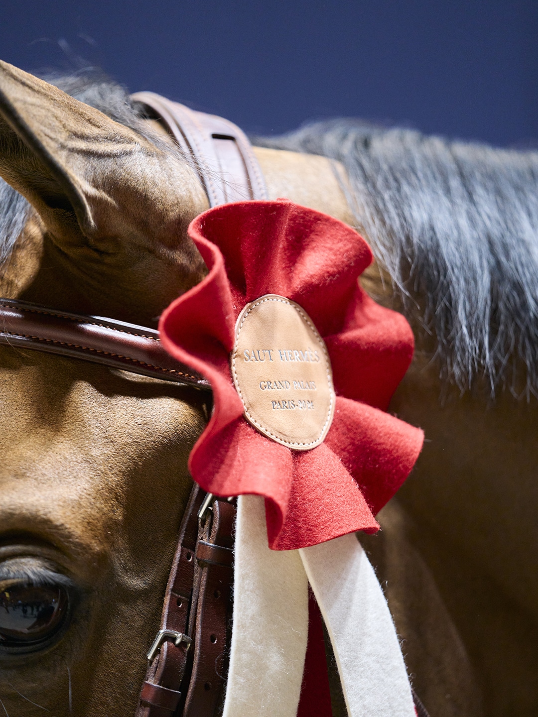 Saut Hermès at the Grand Palais Éphémère 2024 Jessica Rodrigues @ Hermès 2024