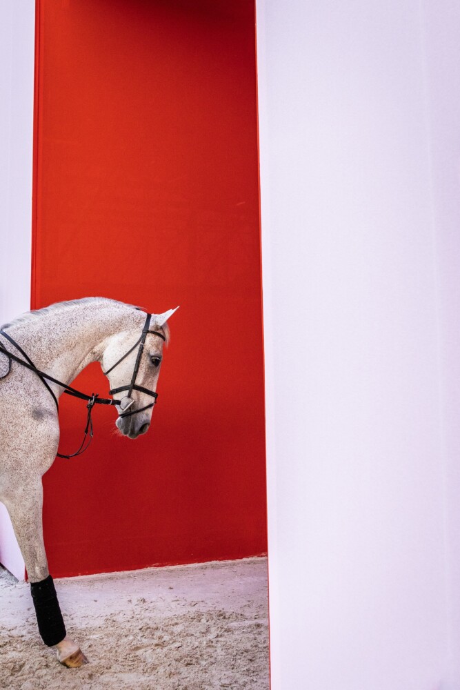 Saut Hermès 2026 Madeleine Bergsjo @ Hermès 2026